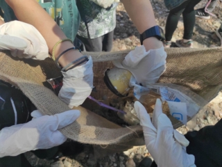 346879282_965690191299052_2259245357380879672_n