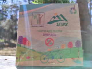 347094192_646724936786539_7630851680498131379_n