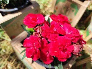 347601331_264235079457853_6164590733756976449_n