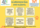 Προστατεύουμε τα αδέσποτα ζώα από τη ζέστη